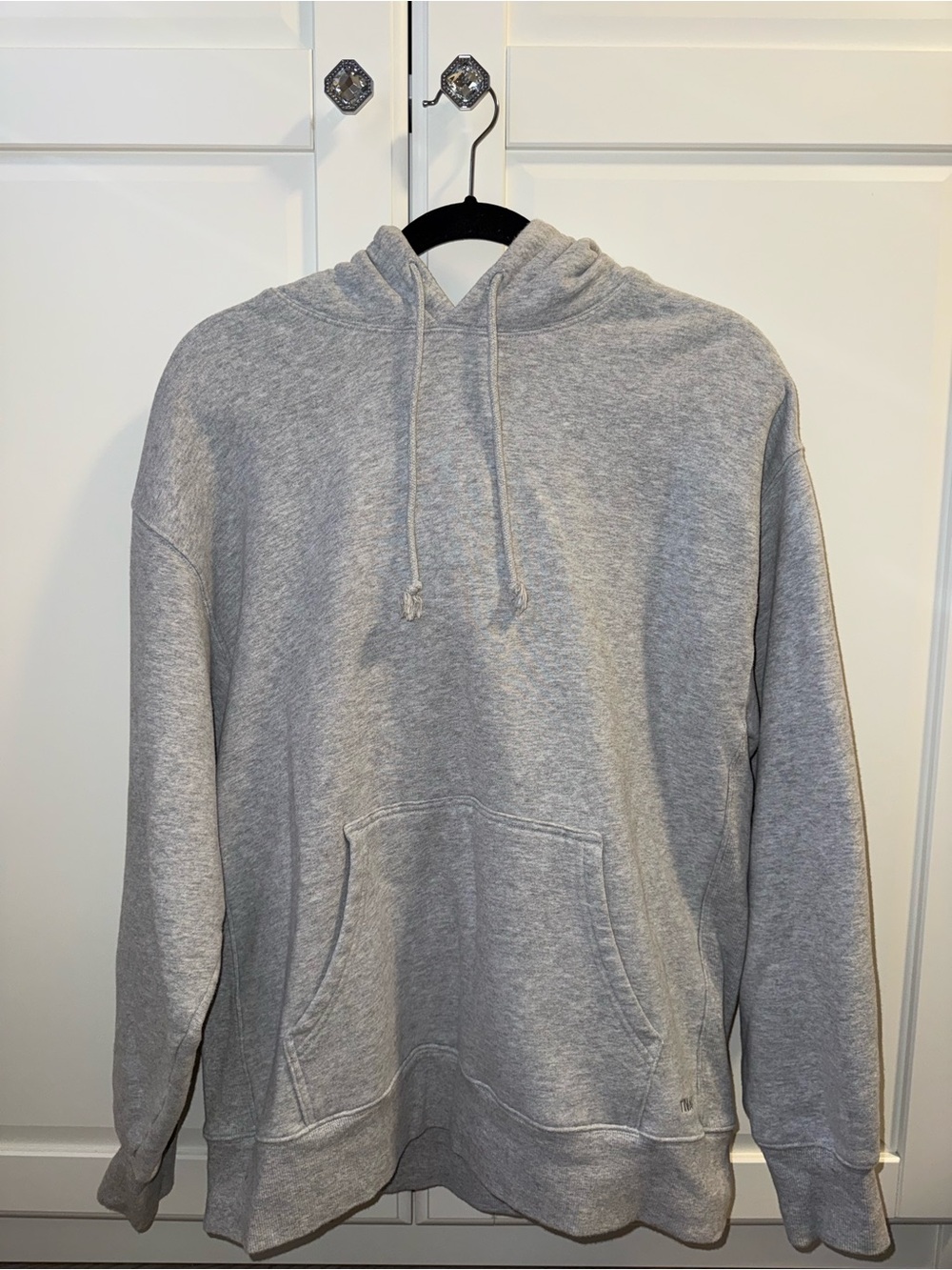 Aritzia Boyfriend Hoodie